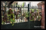 49_foix