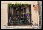 56_foix