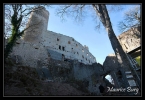 Châteaux Haut-Andlau