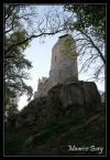 Château du Bernstein