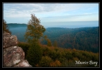 Panorama du haut de la tour