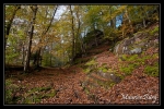Roche du saut du prince Charles, Saverne