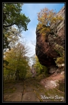 Du côté de Saverne