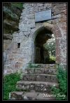 Château de Wasenbourg