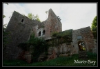Château de Wasenbourg