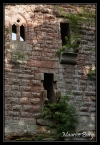 Château de Wasenbourg