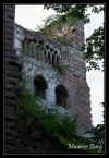 Château de Wasenbourg