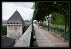 Pau, le château