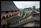Pau, le château