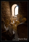013 Carcassonne