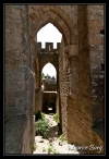 018 Carcassonne