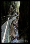 049 Gorges de la Fou