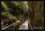 050 Gorges de la Fou