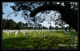 Colleville sur Mer, le cimetière Américain.