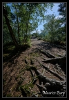 04_Rocher du Pfaffenlapp