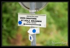 12_Jesselsberg