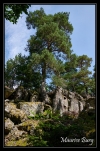 14_Chteau_de_Guirbaden