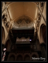 31_Cathédrale Notre-Dame-de-la-Treille