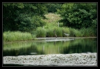 145_Etang de Murat
