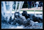 versailles_42