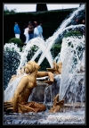 versailles_49