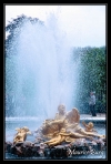 versailles_54