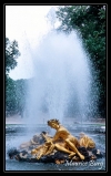 versailles_56