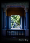 maroc_20 Marrakech, le jardin Majorelle