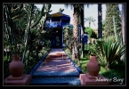 maroc_22 Marrakech, le jardin Majorelle