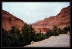 maroc_42 les gorges du Dades