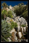 Le jardin exotique