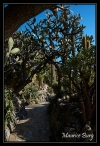 Le jardin exotique
