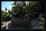Le jardin exotique