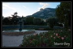 Fontvieille la Roseraie de la Princesse