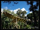Monaco Eco-Art-Parade 2009.