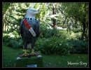 Monaco Eco-Art-Parade 2009.