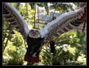 Monaco Eco-Art-Parade 2009.