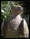 Monaco Eco-Art-Parade 2009.