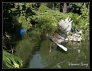 Monaco Eco-Art-Parade 2009.