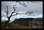 Le Creux du Van