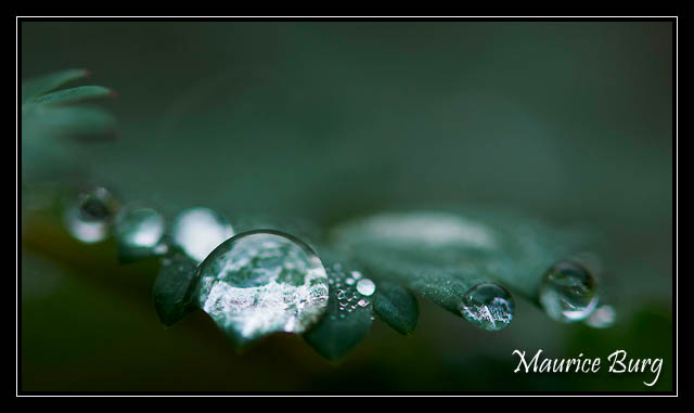 Collier de perles