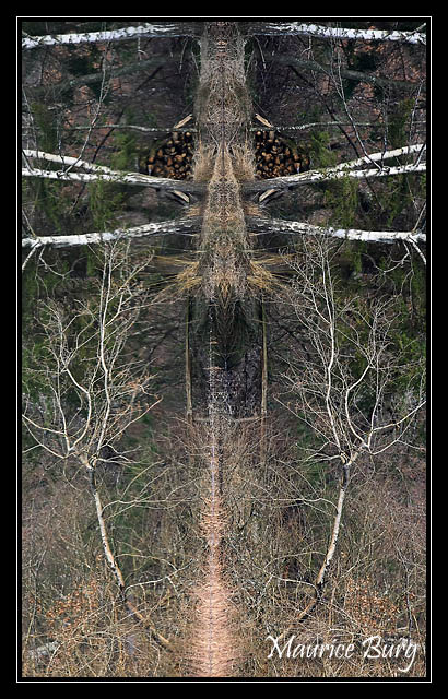 Totem 2