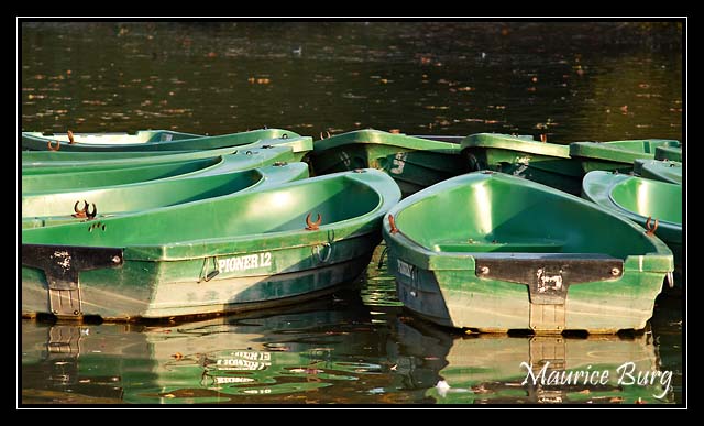 Barques vertes