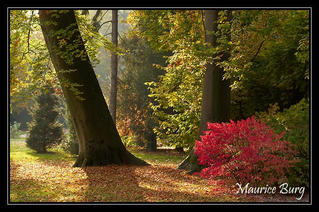Parc de l'orangerie, Strasbourg