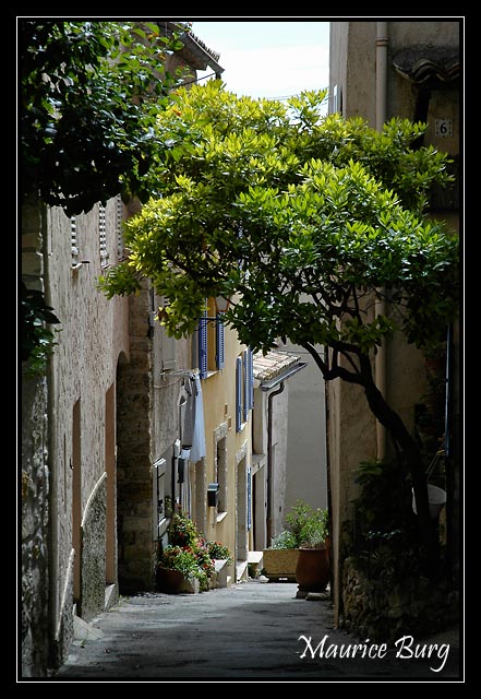 Ruelle