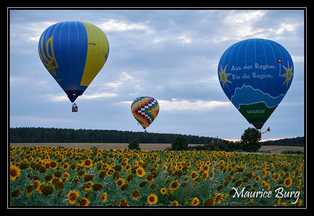 air_ballons_43