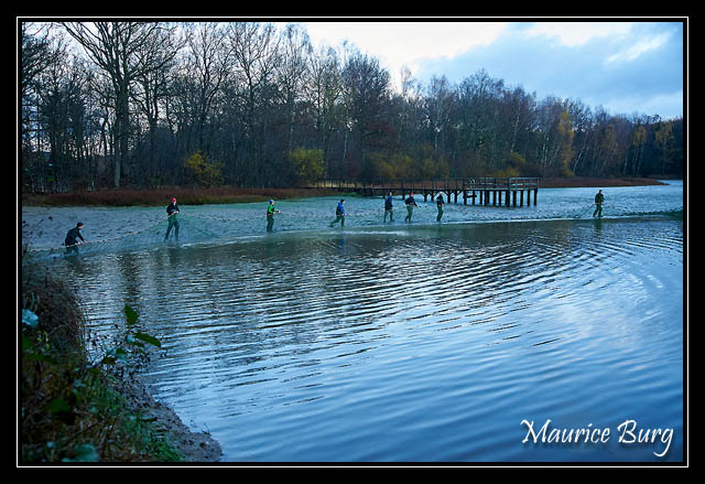 Pêche d'étang_01