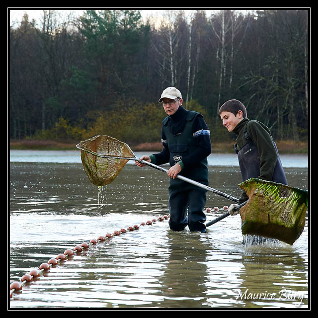 Pêche d'étang_19