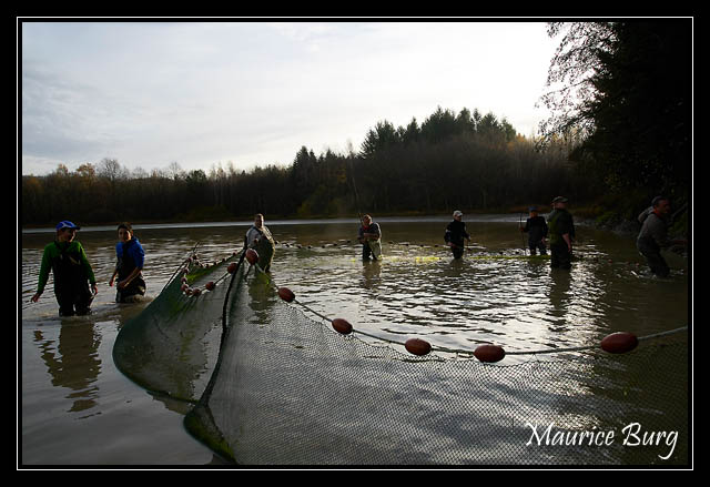 Pêche d'étang_36