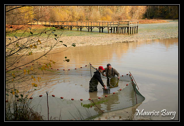 Pêche d'étang_48